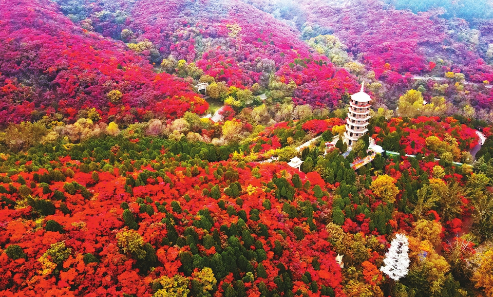 醉美金秋！深秋济南红叶谷诗意迷人成仙境