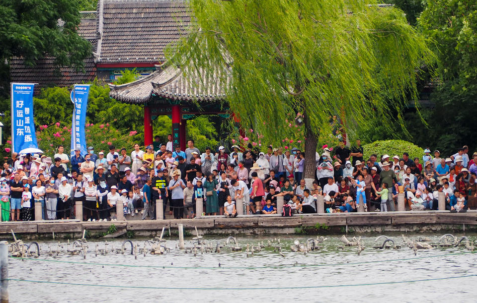 周末的济南大明湖景区，数万人涌入仿佛节日一般
