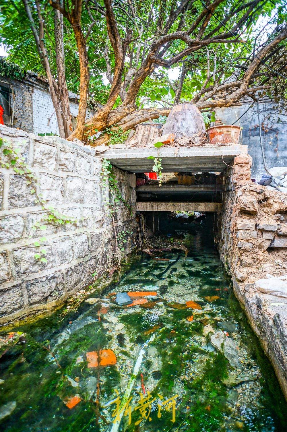 济南老城区泉水院落修缮，深藏房屋底下河道露全貌