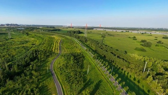 济南起步区黄河生态廊道防护林及苗圃项目二期工程竣工验收