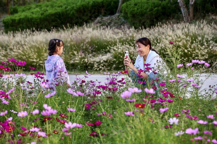濟南商河郊野公園，浪漫花海美如仙境