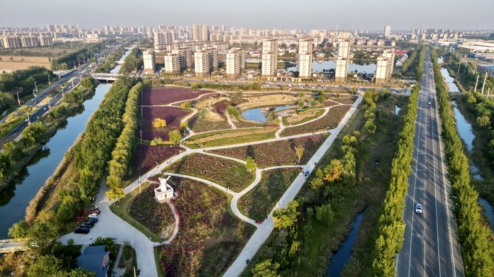 濟南商河郊野公園，浪漫花海美如仙境