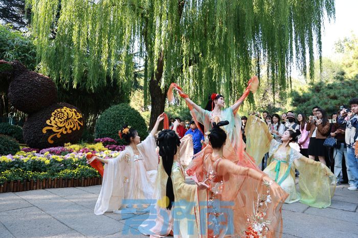 图集｜趵突泉“菊花仙子”古风巡游