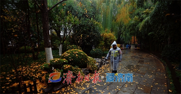 冬雨绵绵落叶翩翩 细雨朦胧中泉城展现别样之美