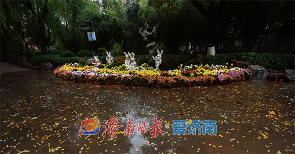 冬雨绵绵落叶翩翩 细雨朦胧中泉城展现别样之美