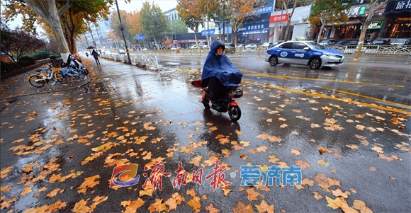 冬雨绵绵落叶翩翩 细雨朦胧中泉城展现别样之美