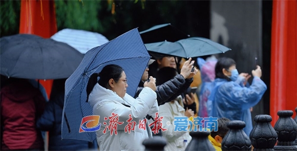 冬雨如约而至，雨中赏泉别有情调