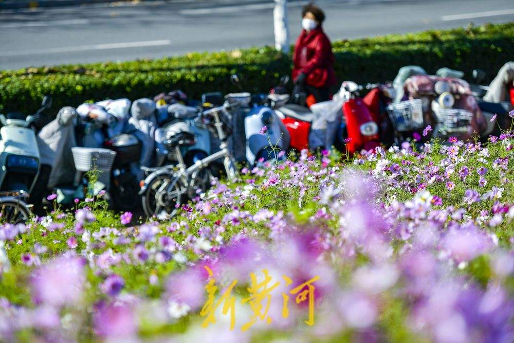 寒冬里，济南一地铁站“春意盎然”