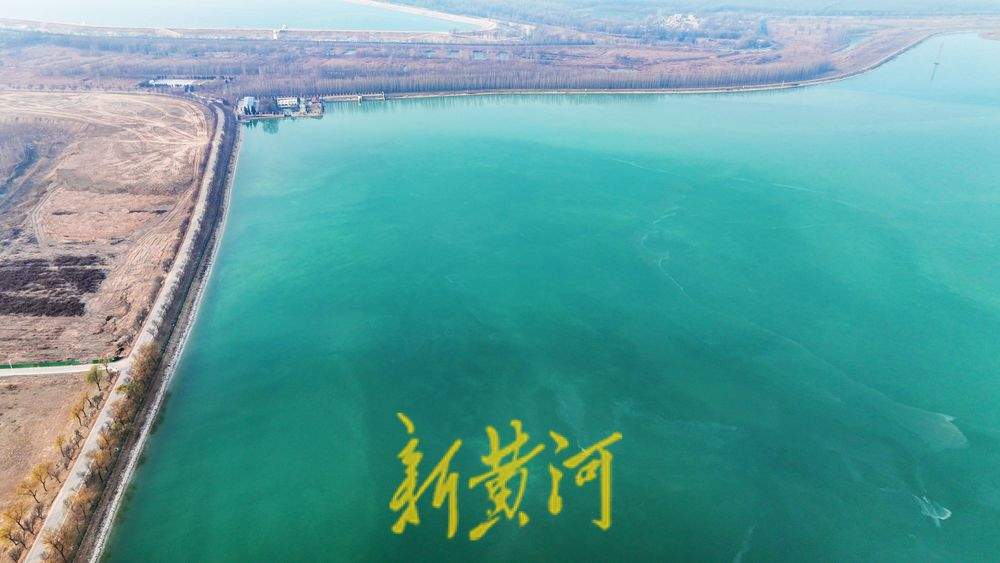 连日持续低温，济南黄河畔沉砂池冻成“绿翡翠”