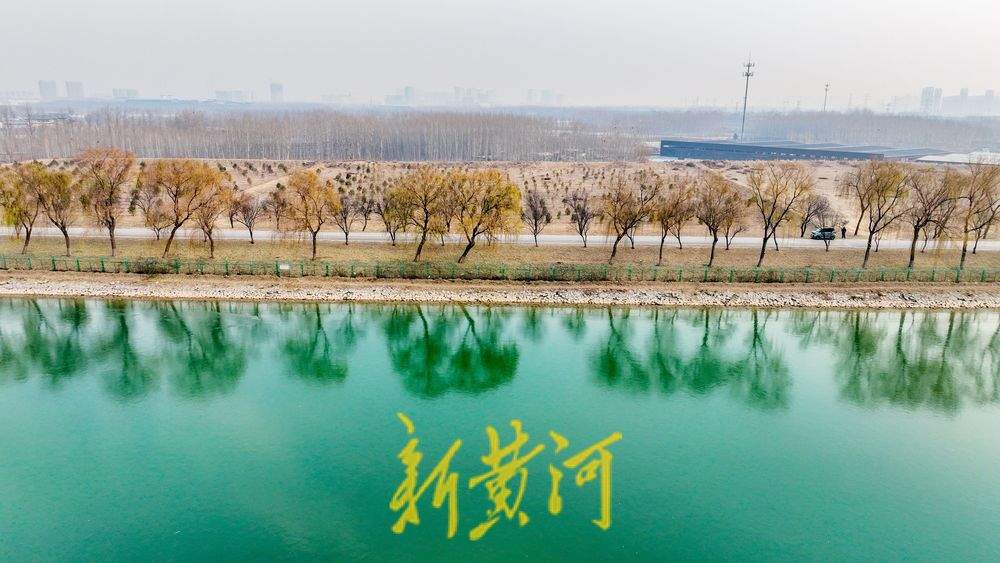 连日持续低温，济南黄河畔沉砂池冻成“绿翡翠”