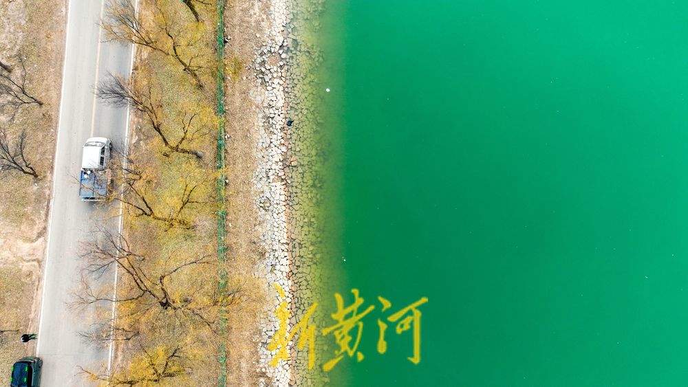 连日持续低温，济南黄河畔沉砂池冻成“绿翡翠”