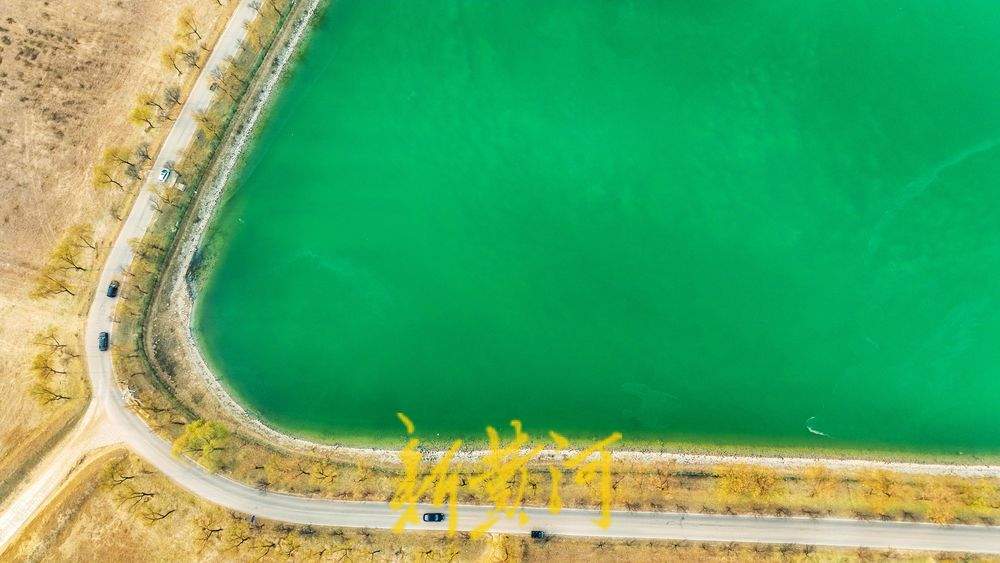 连日持续低温，济南黄河畔沉砂池冻成“绿翡翠”