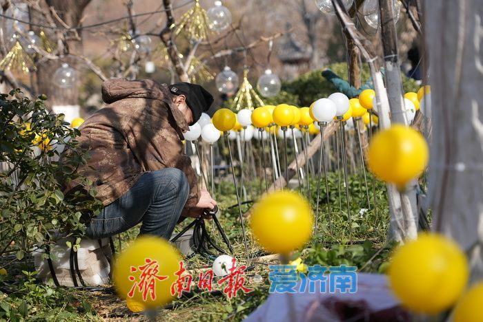 新春氛围渐浓！五龙潭迎春花灯布置即将收尾 花灯造型萌气十足