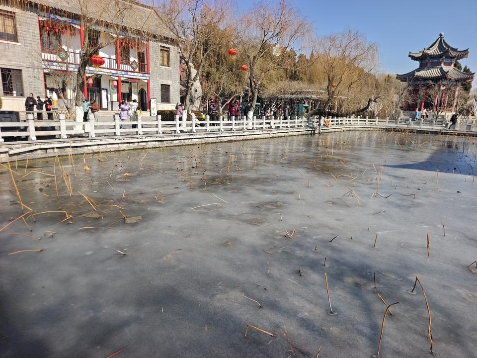 深度冰冻三四天，济南大明湖岸边出现较大面积冰封