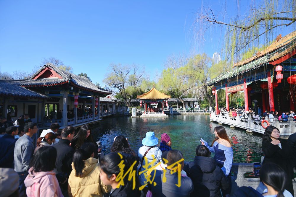 蓝天碧水映泉水，游客趵突泉畔尽享好春光