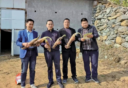 济南“乡村振兴”新画卷：炊烟新起处 青山变金山