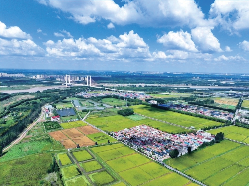 济南“乡村振兴”新画卷：炊烟新起处 青山变金山