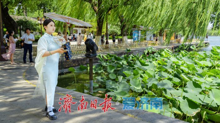 一年四季 泉在济南丨济南大明湖:夏日美景醉泉城 满眼画意纳清凉