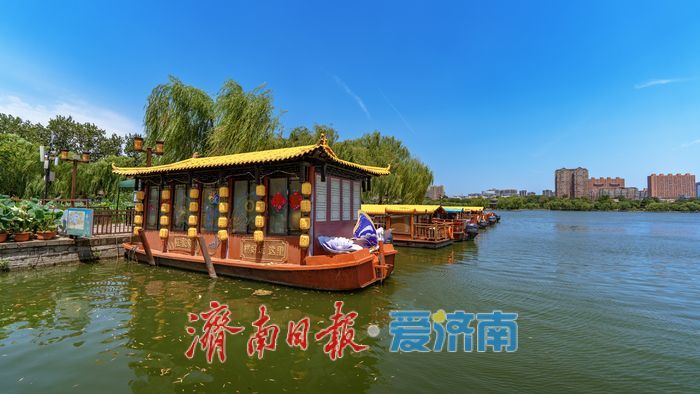 一年四季 泉在济南丨济南大明湖:夏日美景醉泉城 满眼画意纳清凉
