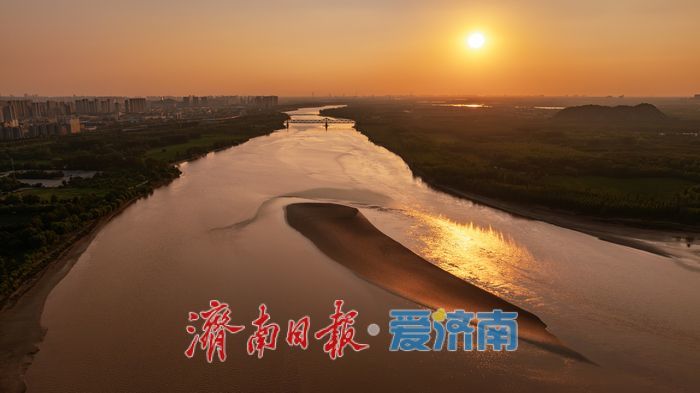 一年四季 泉在济南｜济南百里黄河风景区，夏日金辉演绎黄河生态美景