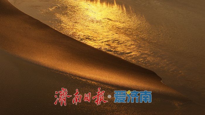 一年四季 泉在济南｜济南百里黄河风景区，夏日金辉演绎黄河生态美景