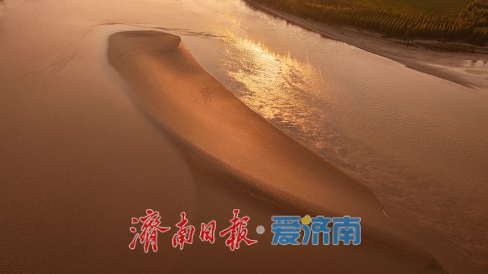 一年四季 泉在济南｜济南百里黄河风景区，夏日金辉演绎黄河生态美景