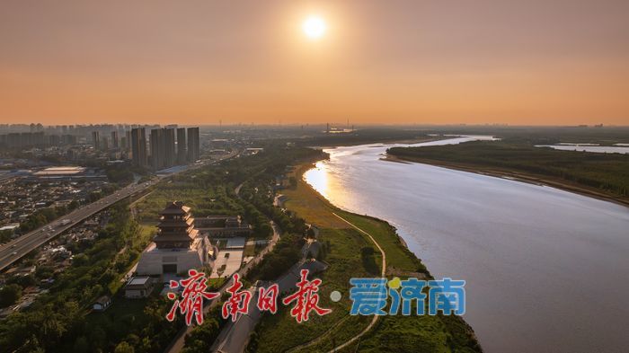 一年四季 泉在济南｜济南百里黄河风景区，夏日金辉演绎黄河生态美景