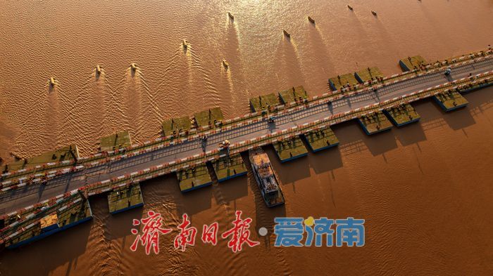 一年四季 泉在济南｜济南百里黄河风景区，夏日金辉演绎黄河生态美景