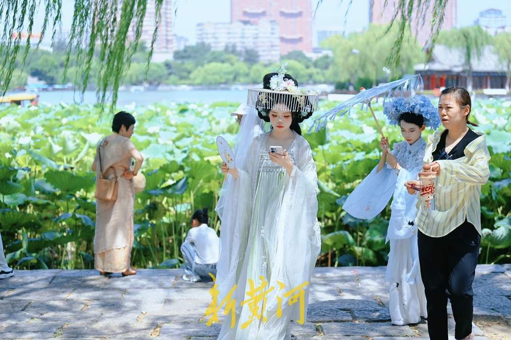 大明湖畔荷韵浓，游人赏荷正当时