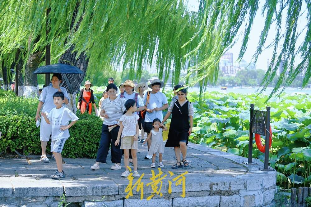 大明湖畔荷韵浓，游人赏荷正当时