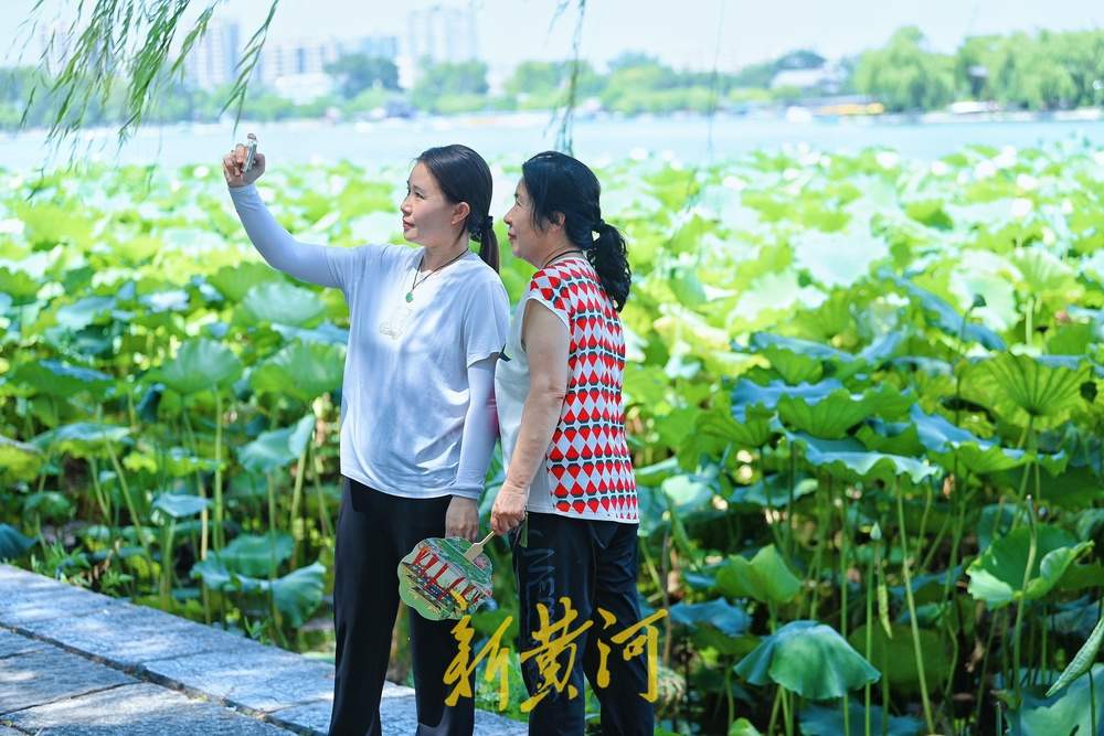 大明湖畔荷韵浓，游人赏荷正当时