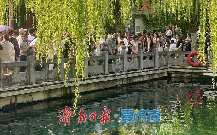 “趵突腾空”引客来 暑期尾声，趵突泉游客络绎不绝