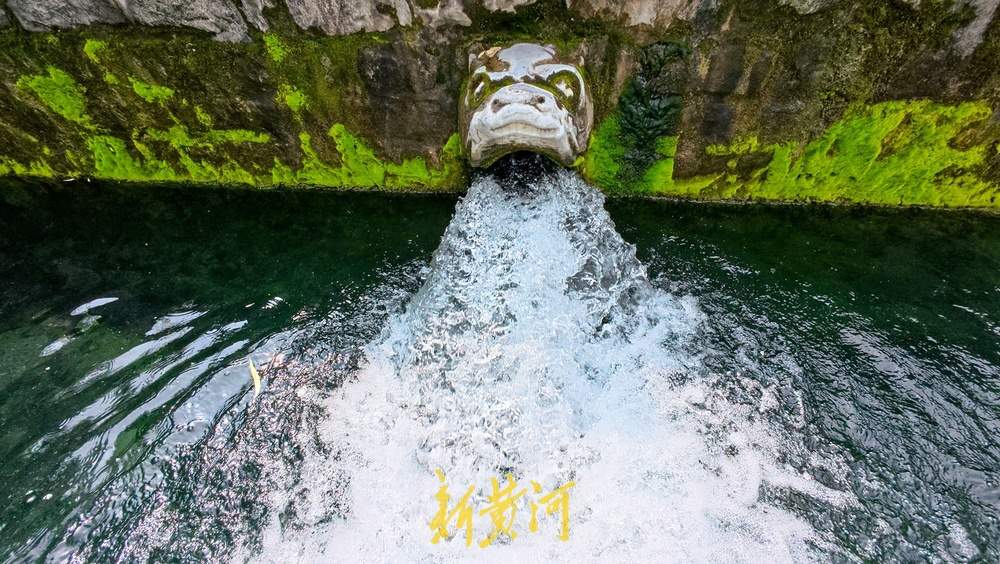 喷涌势头旺盛，济南黑虎泉将迎恢复喷涌22周年