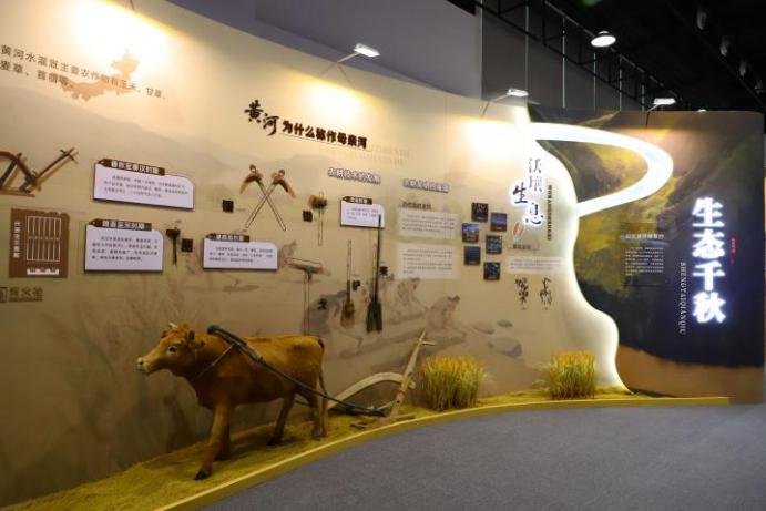 美好夜色 妙趣科学!山东省科技馆“科学之夜”活动来啦!