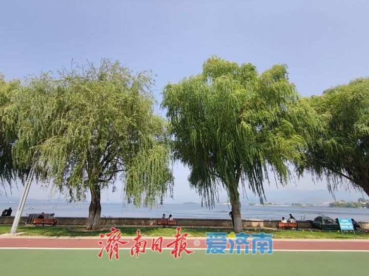 一年四季 泉在济南丨秋日雪野湖引客来 市民乐享好时光