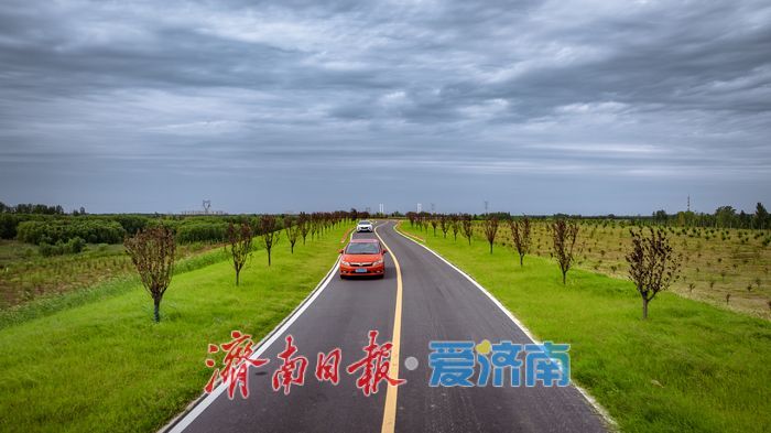一年四季 泉在济南丨济南槐荫区玉符河生态公路:仿若驰骋草原的城市风景线