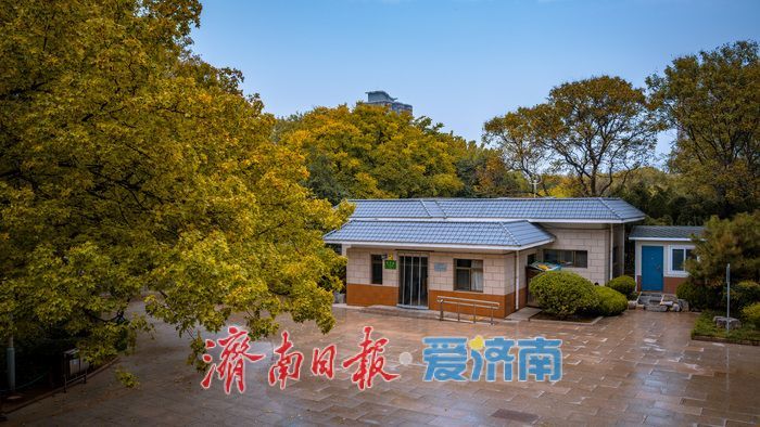 一年四季 泉在济南丨济南泉城公园:秋日胜景如画,市民尽享自然之美