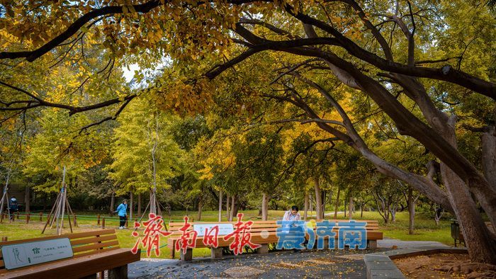 一年四季 泉在济南丨济南泉城公园:秋日胜景如画,市民尽享自然之美