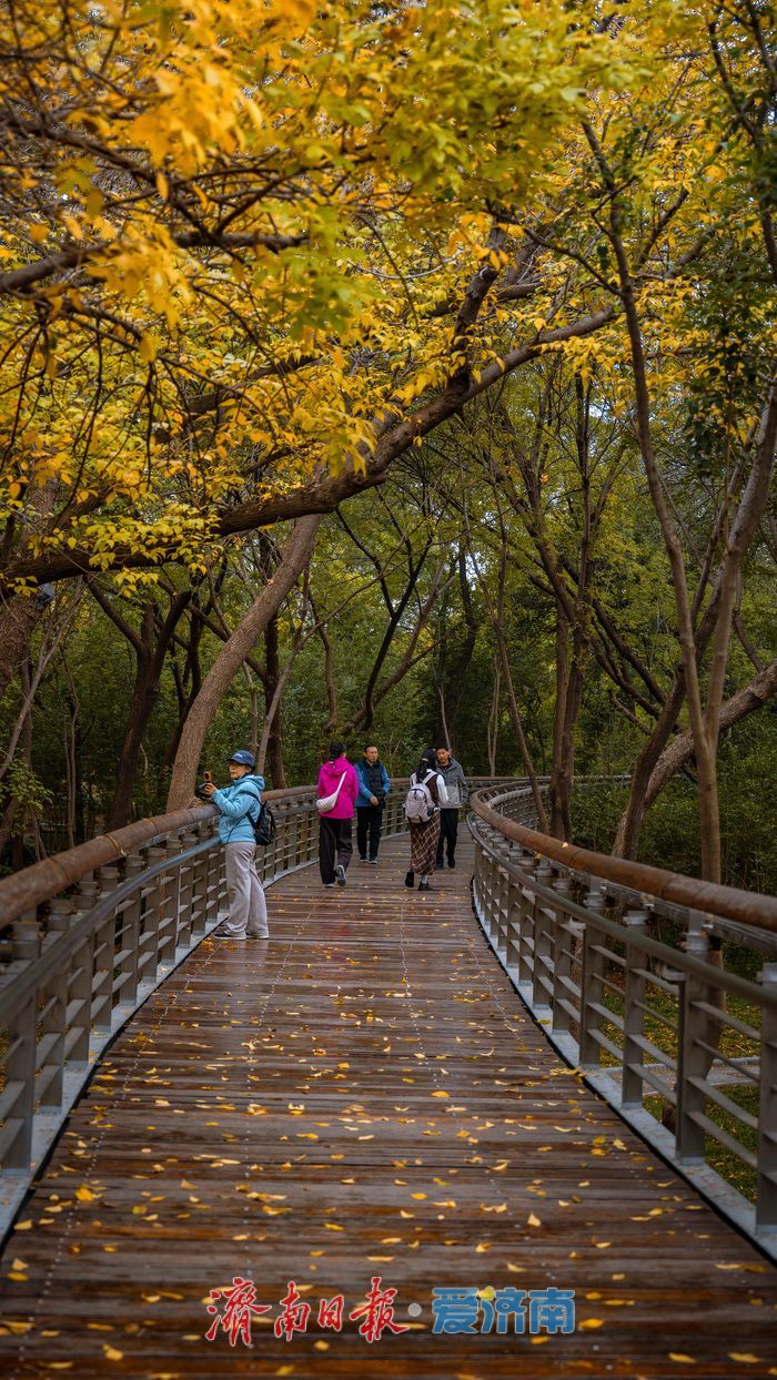 一年四季 泉在济南丨济南泉城公园:秋日胜景如画,市民尽享自然之美