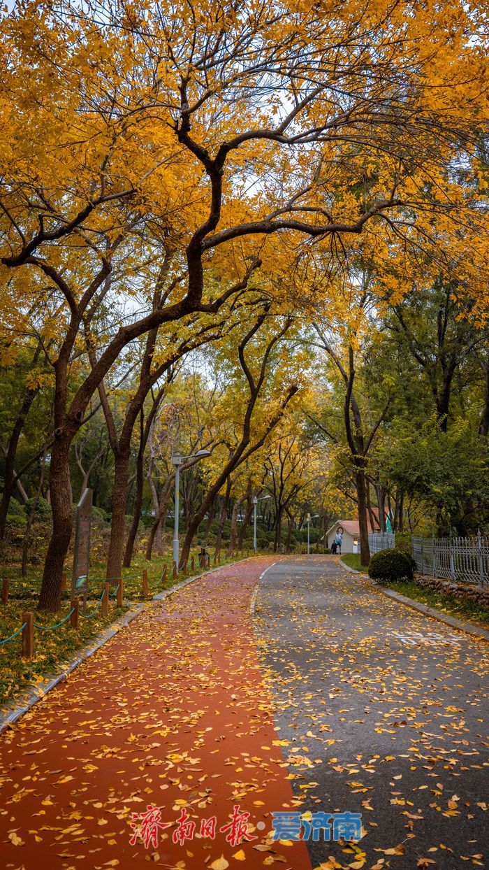 一年四季 泉在济南丨济南泉城公园:秋日胜景如画,市民尽享自然之美