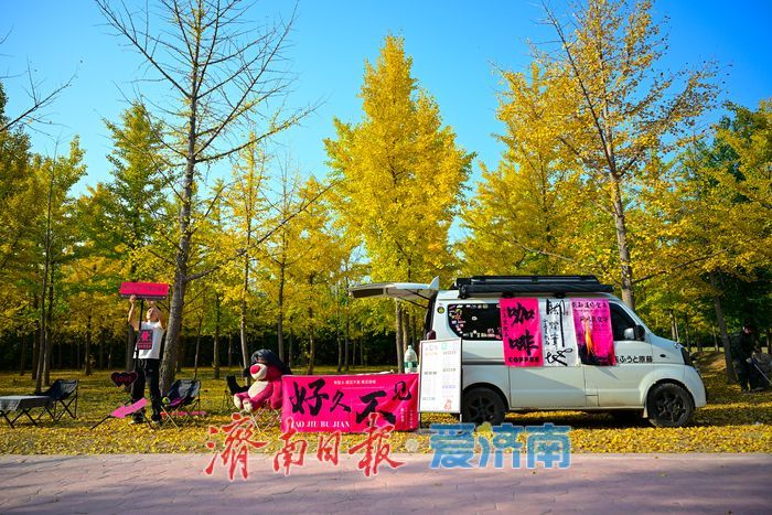 金叶翩跹母亲河 百亩银杏绘就生态画卷