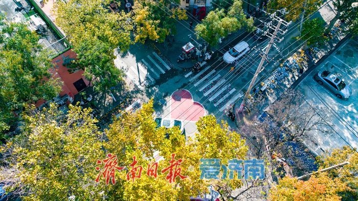 树影婆娑间,邂逅济南最温柔的秋天