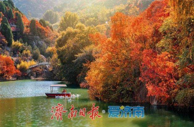 泉城初冬限定!在济南赴一场斑斓之约