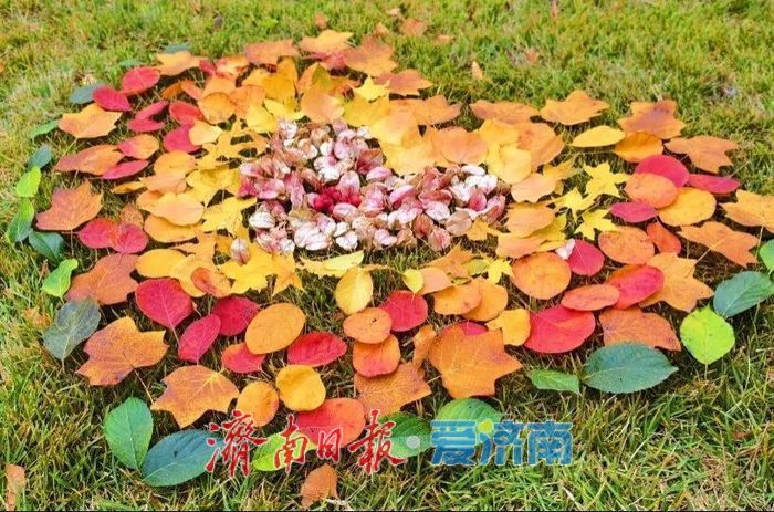 一年四季 泉在济南丨赴一场浪漫之约,公园景区最美落叶景观上线