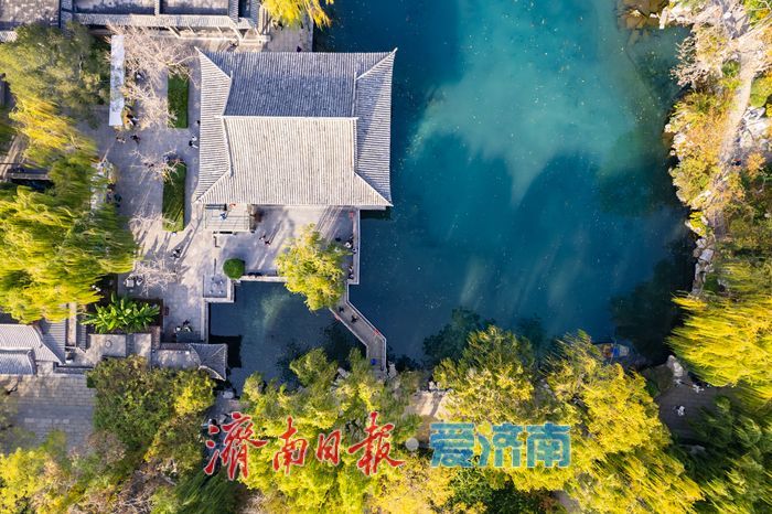 初冬时节,五龙潭公园色彩斑斓景致如画