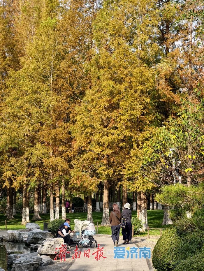 初冬时节,五龙潭公园色彩斑斓景致如画