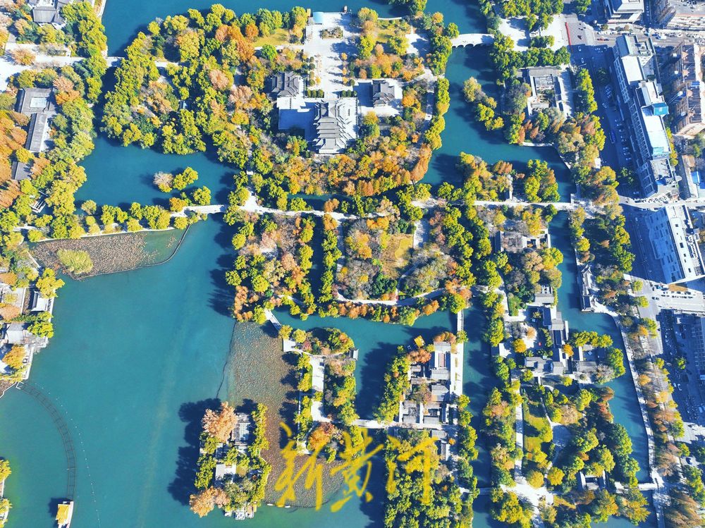 大明湖进入冬日多彩斑斓季，绘就泉城绝美画卷