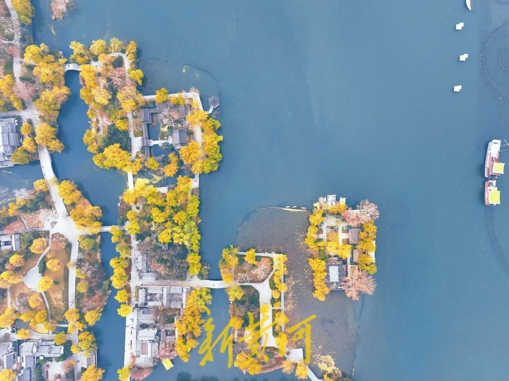 一年四季 泉在济南丨低温下的大明湖，限定版“梦幻童话”正在上演