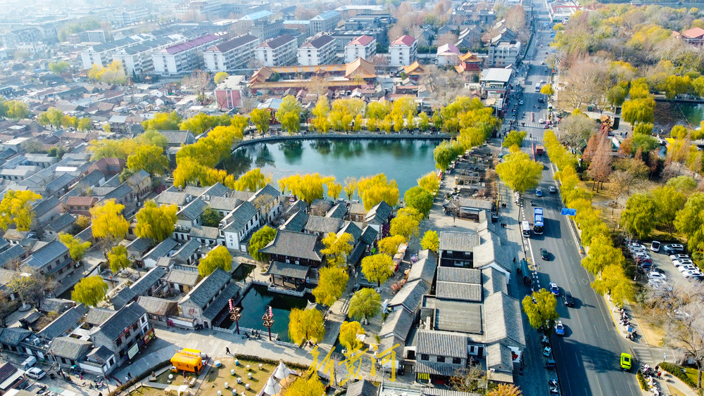 一年四季 泉在济南丨泉畔开启冬日黄金季 百棵垂柳镶金边