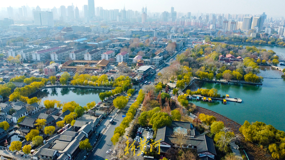 一年四季 泉在济南丨泉畔开启冬日黄金季 百棵垂柳镶金边